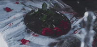 boydestroy music video drunk brunch faded GIF