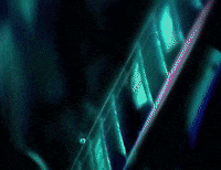 Steven Tyler 1970S GIF by Aerosmith