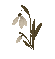 Flower Sticker