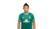 Park Swipe Up Sticker by SV Werder Bremen