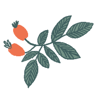 paiskincare christmas beauty flower makeup Sticker