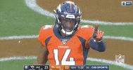 Regular Season Football GIF by NFL