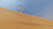desert sliding GIF by Red Bull