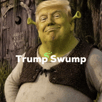Reflecting Pool Algae GIF by Gummeeteething