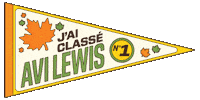 Avi Npd Sticker by Lewis For Leader