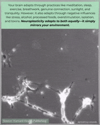 Essential Oils Health GIF by Jennifer Accomando