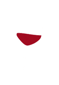 Wine Vin Sticker by Vins du Beaujolais