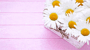 Happy True Blue GIF by CapFed®