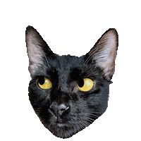 You Are Perfect Sticker