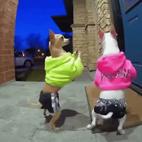 Dogs Twerk GIF by Respective