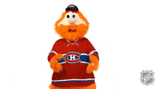 Ice Hockey No GIF by NHL