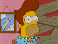 homer simpson GIF
