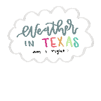 Texas Weather Sticker
