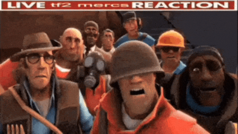 Team Fortress 2 What GIF