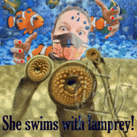 Art Zachar GIF by NACHTSCHIMMEN Music-Theatre-Language NIGHTSHADES