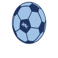 Soenderjyske bold sønderjyske sonderjyske soenderjyske Sticker