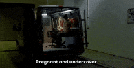 Reality Show Police GIF by Wolf Entertainment