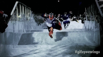 ice hockey no GIF by Red Bull