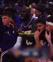 You Relax Lebron James GIF