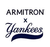 armitronwatches sports baseball ball nyc Sticker