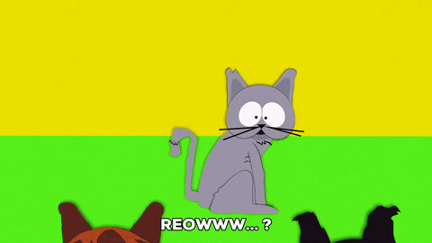 sexy cat GIF by South Park 