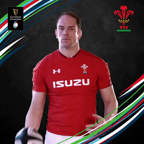 alun wyn jones rugby GIF by Guinness Six Nations