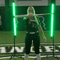 Parkside Softball GIF by Parkside Athletics