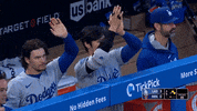 Major League Baseball Sport GIF by MLB