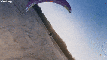 Paramotor Flight Ends in Crash