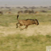 Go Away Baby GIF by BBC America