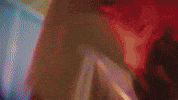horse hors avey tare farmwave GIF