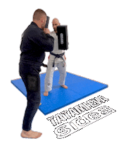 Martial Arts Fitness Sticker by Sidea