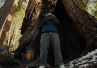 Ditto GIF by Aries