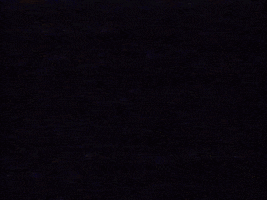 Youtube 90S GIF by Squirrel Monkey