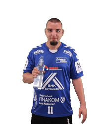 Handball Sticker by HSGSpradow