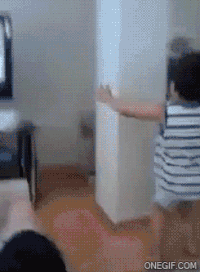 spider birth GIF