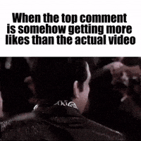 Content Zoo GIF