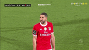 Sl Benfica Slbgif GIF by Sport Lisboa e Benfica