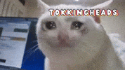 Let Me Think Wow GIF by Tokkingheads