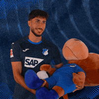 Sport Bundesliga GIF by TSG Hoffenheim