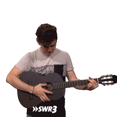 Guitar Hero No Sticker