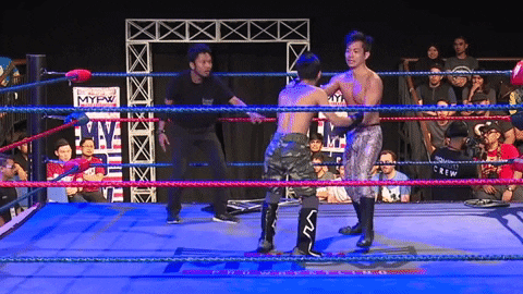 ladykiller giphygifmaker rock bottom rockbottom ladykiller GIF