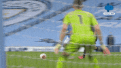 Premier League England GIF by MolaTV