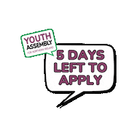 niyouthassembly northern ireland apply applications youth assembly Sticker