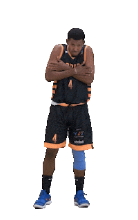 SPDC cbb wilson basquete basquetebol Sticker