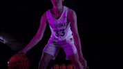 Dribble GIF by Tommie Athletics