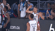 united basketball GIF by NBL