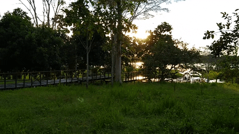 Mashwa giphyupload naturaleza naturelover biofilia GIF