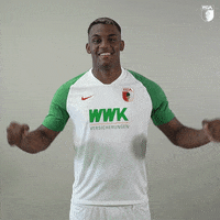 La Pantera Football GIF by FC Augsburg 1907