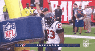 2019 Nfl Football GIF by NFL
